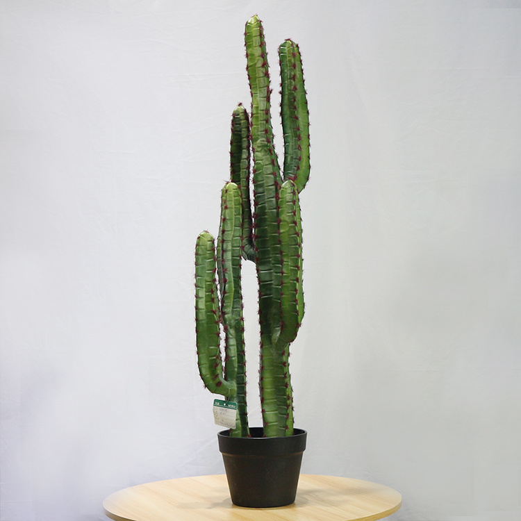 New-Style-Plastic-Saguaro-Cactus-Buy-Artificial-Cactus-Plant-at-Toronto-Cactus-and-Succulent-Club (2).jpg